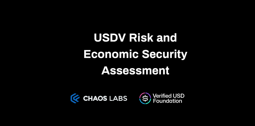 USDV Risk and Economic Security Assessment